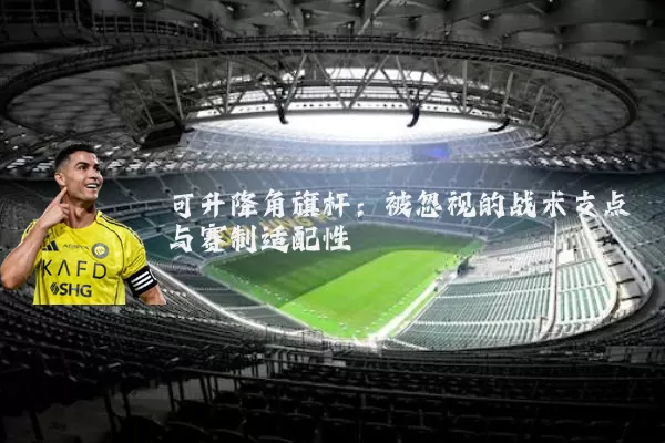 可升降角旗杆：被忽视的战术支点与赛制适配性
